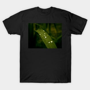 Water Drops - green macro T-Shirt